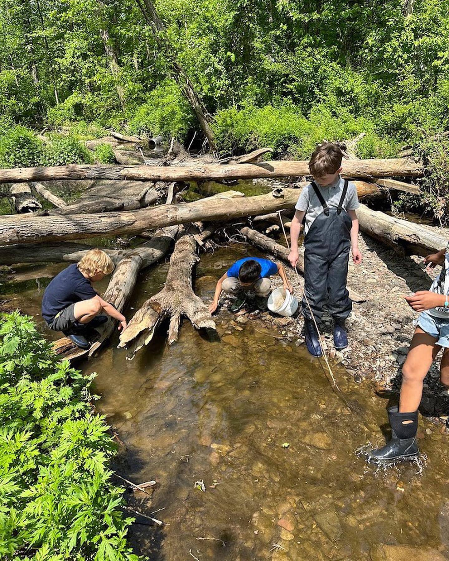 Reimagine Summer Camp photo 1