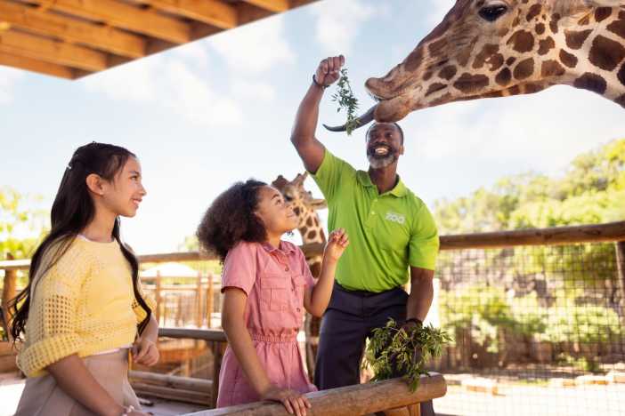 San Antonio Zoo Camp