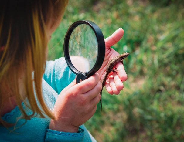 Science Adventures - Vasona Lake Park