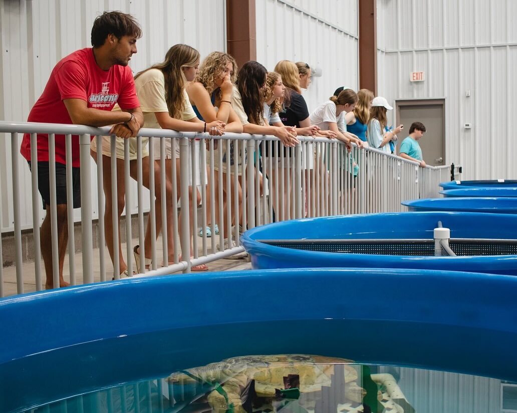 Terrific Scientific Summer Day Camps фото 1