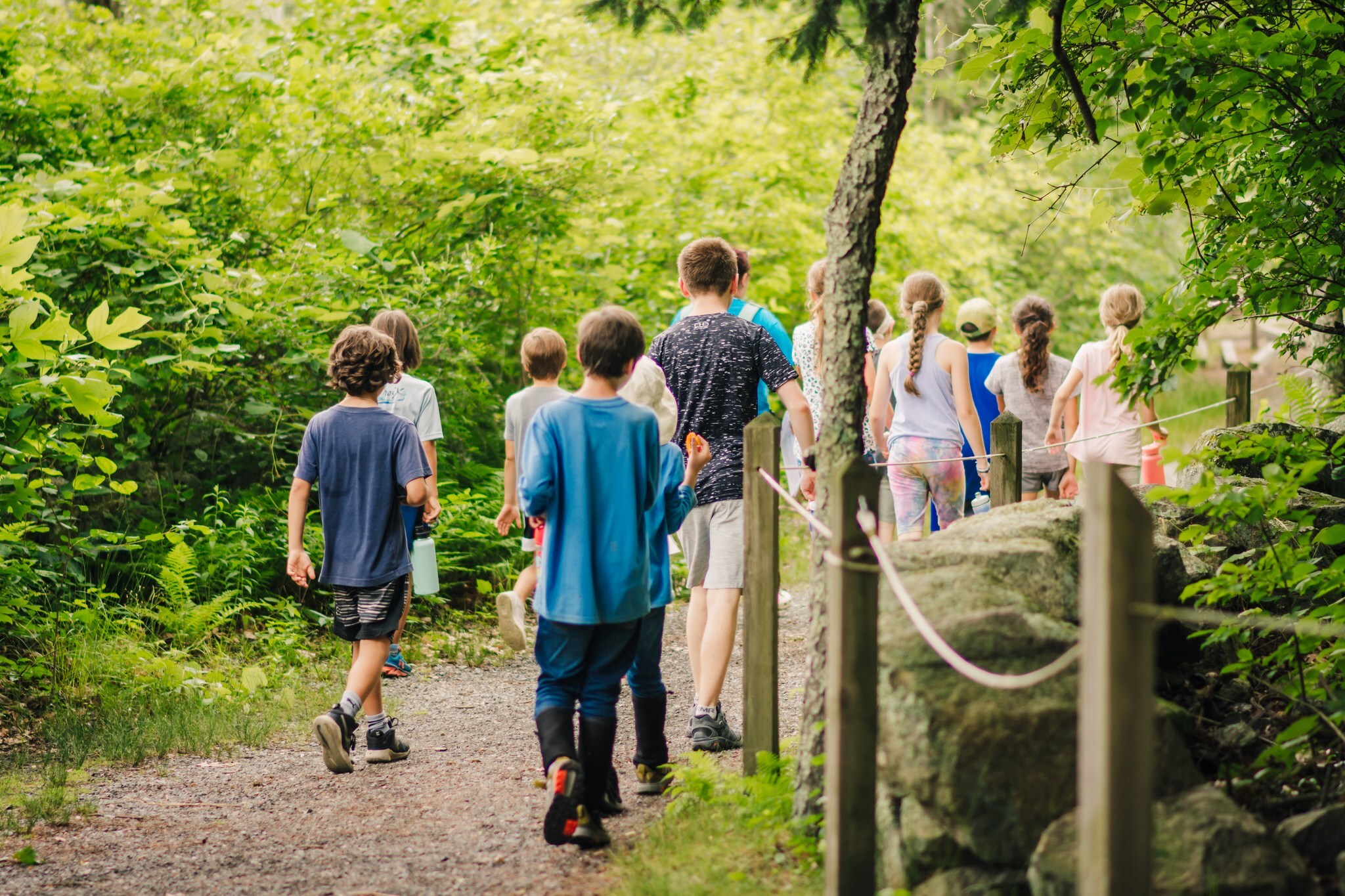 Stony Brook Natural History Day Camp photo 1
