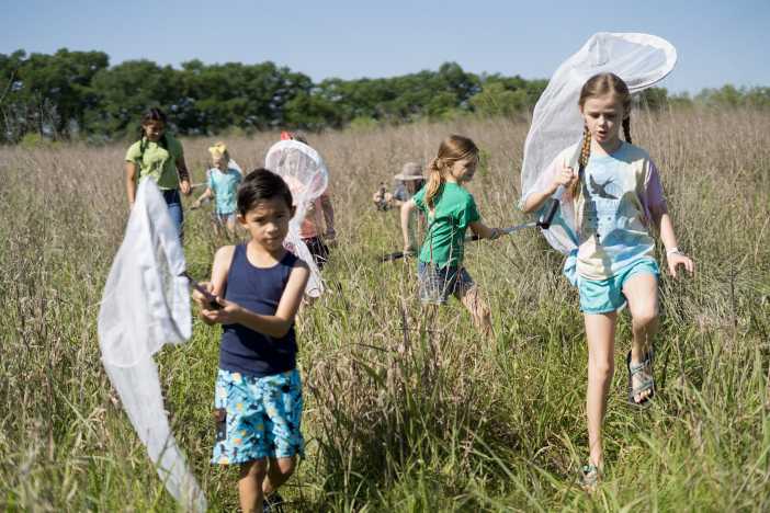 Summer Art And Nature Day Camp