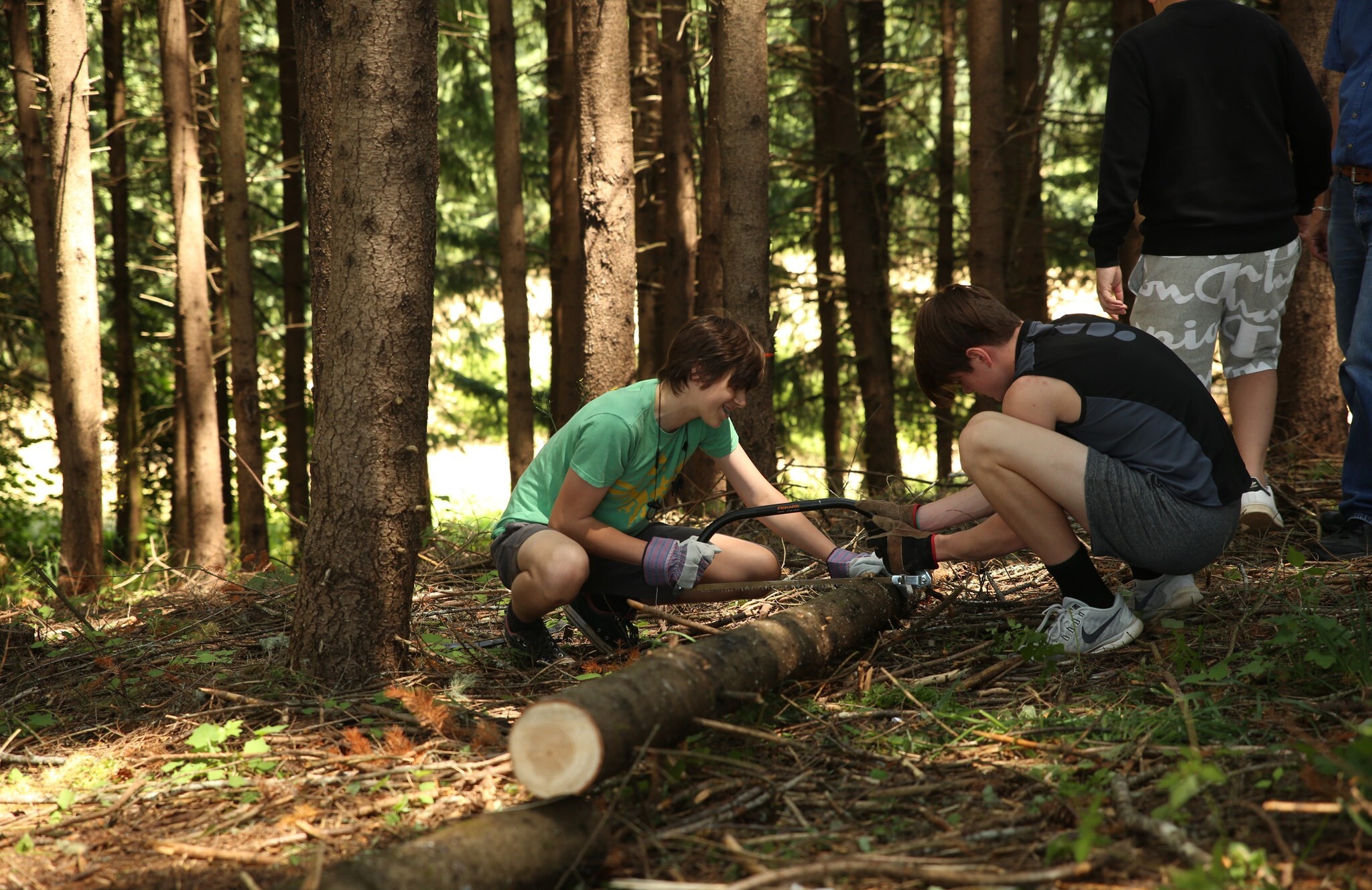 Summer At Delphian