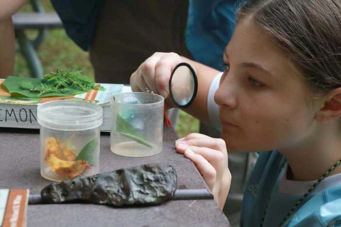 Summer Camp In The Smokies