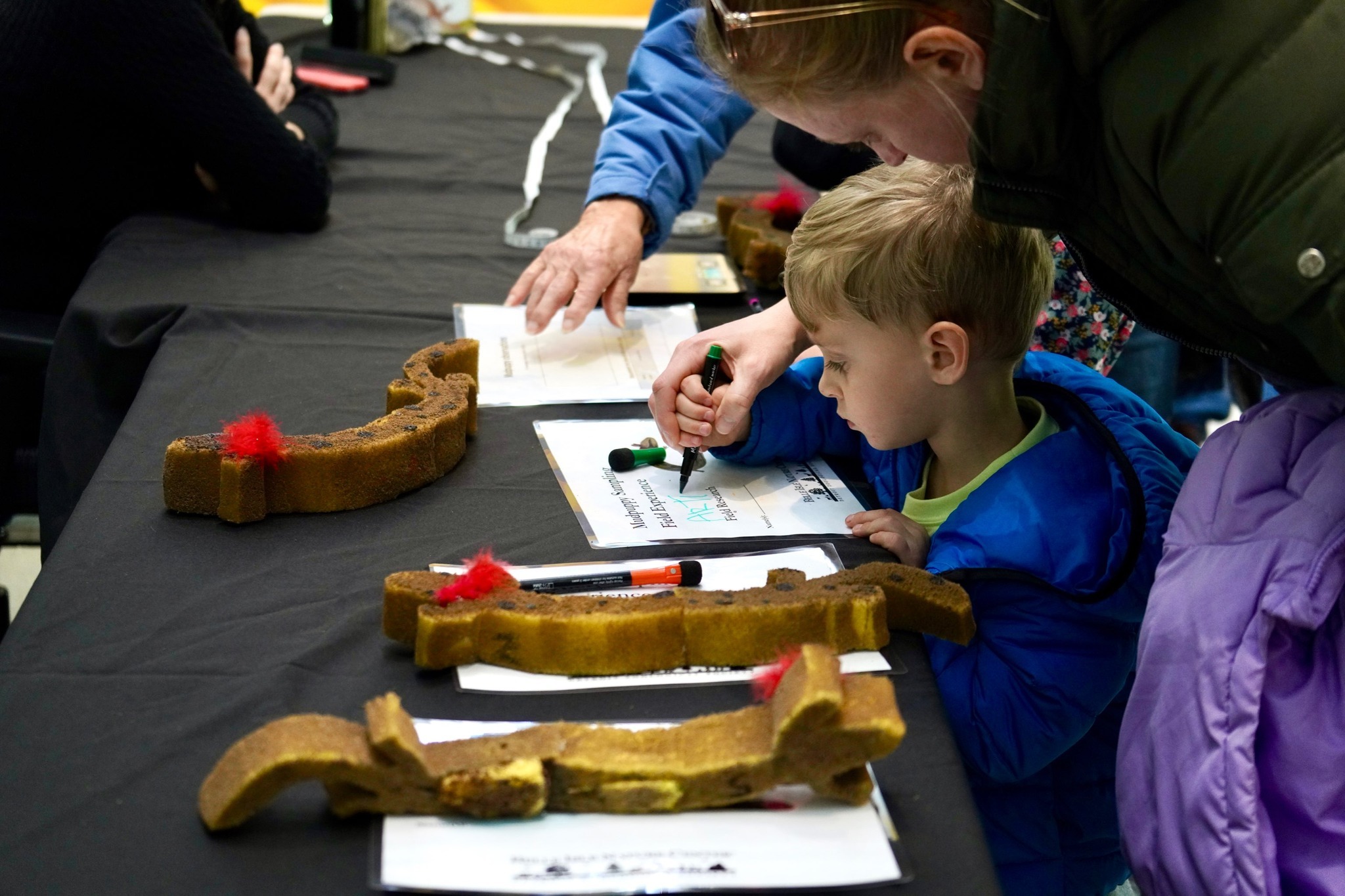 Summer Nature Camp At The Belle Isle Nature Center photo 1