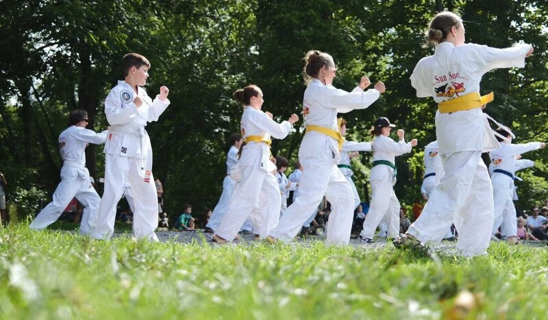 Sun Soo Martial Arts Summer Camp
