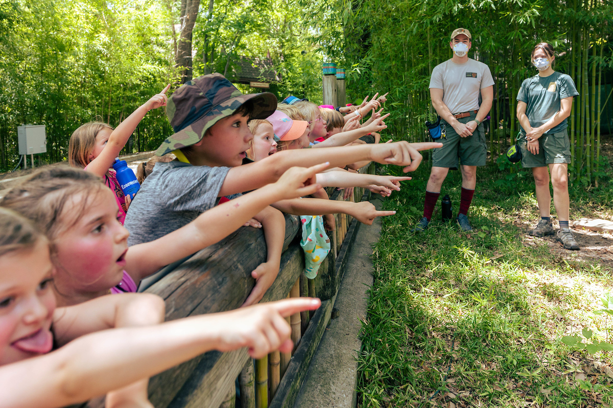 Junior Zoologist Camp фото 1