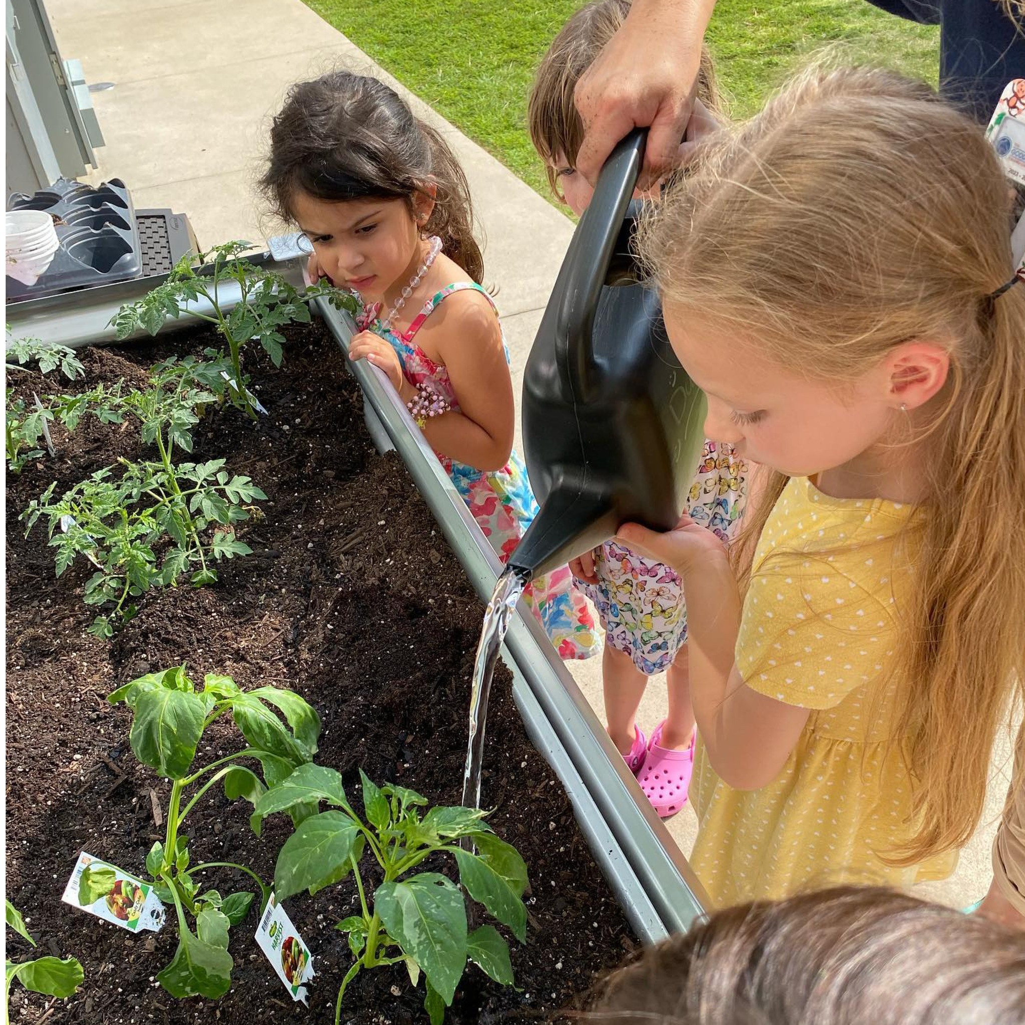 The Goddard School Wake Forest photo 1