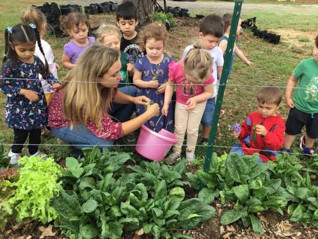 The Lilypad Farm School