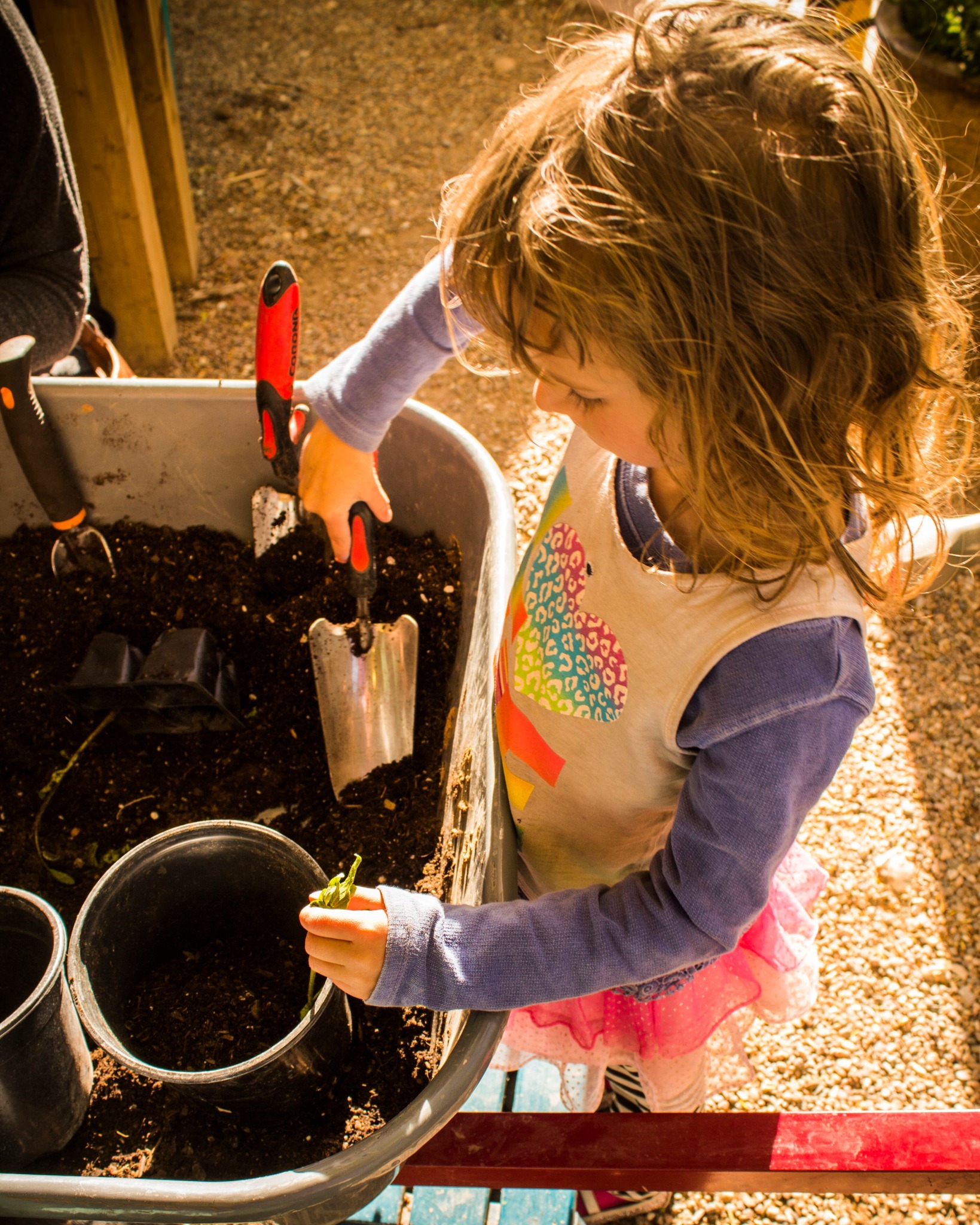 The Santa Fe Children’s Museum Summer Camp photo 1