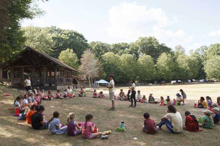 Tree Of Life Summer Theatre Camp