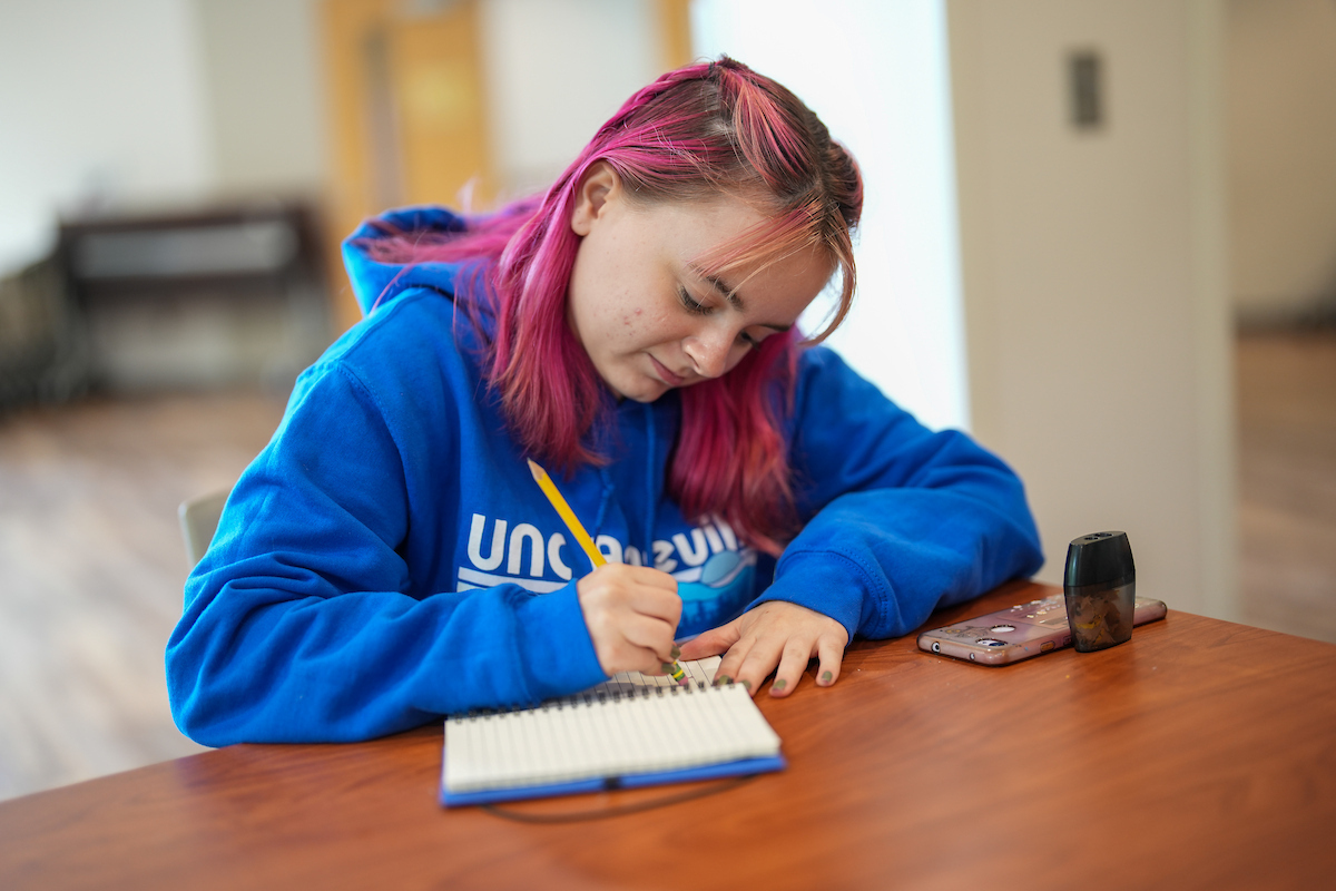 UNC Asheville Pre-College Program: Great Smokies Young Writers Workshop Sensory Writing & The Poetʼs Toolbox photo 1