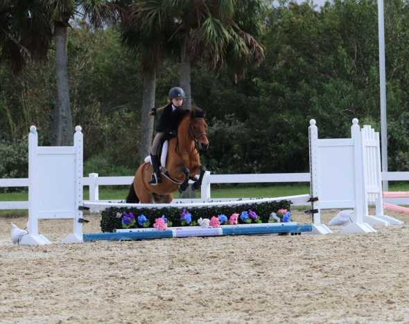 Vero Beach Equestrian Summer Camp