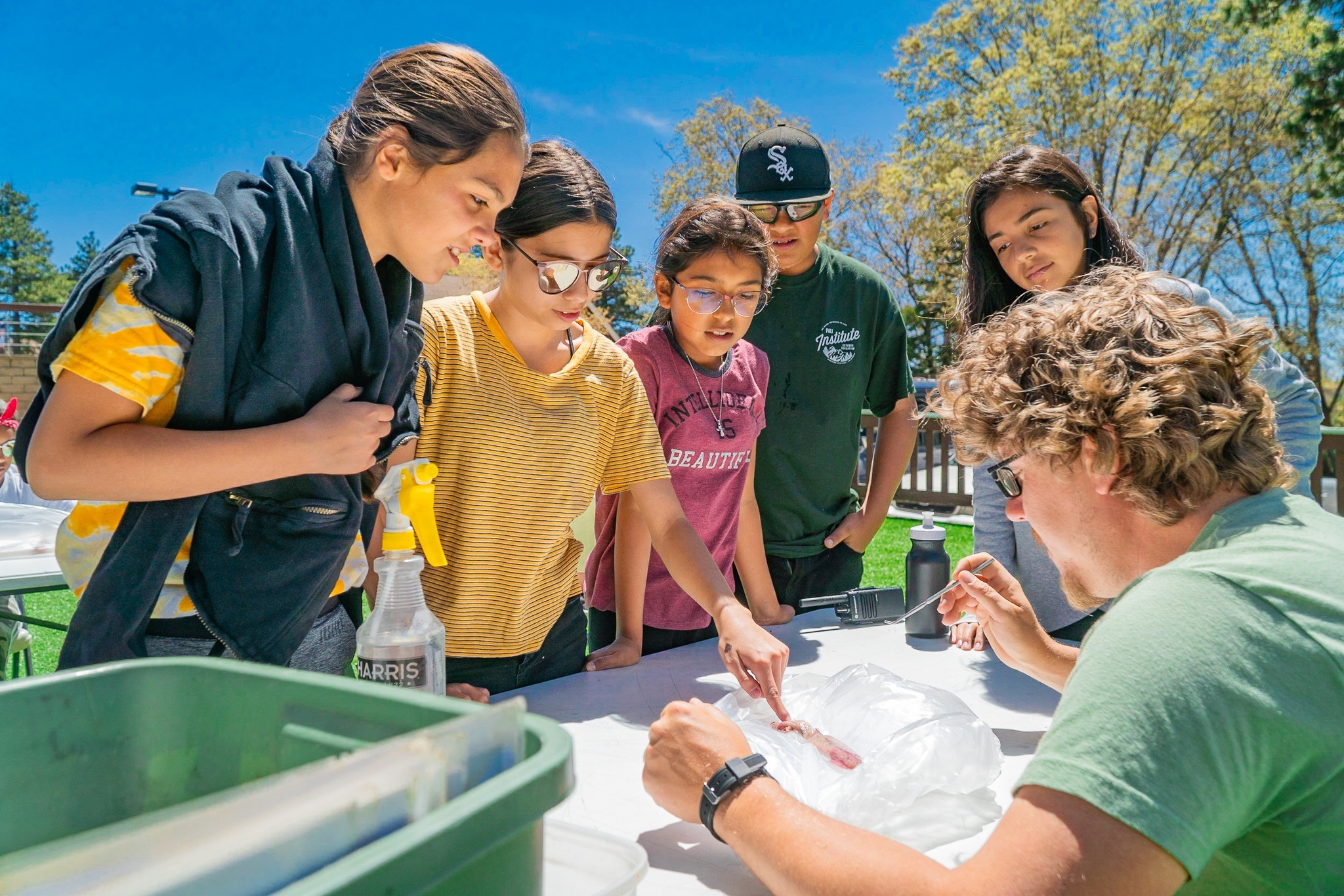 Wacky Sports Specialty At Pali Adventures photo 1