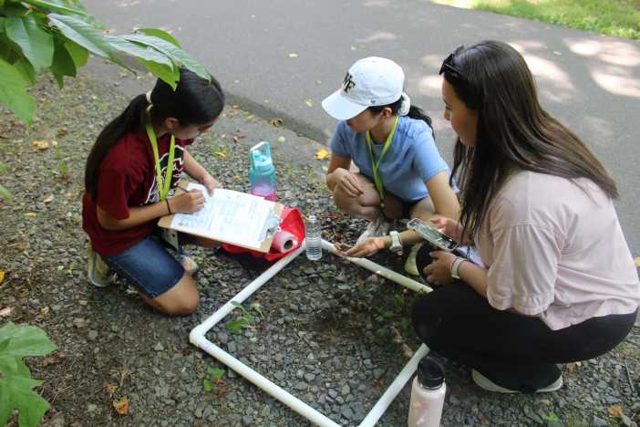 Wake Forest Summer Immersion: Bioscience Institute