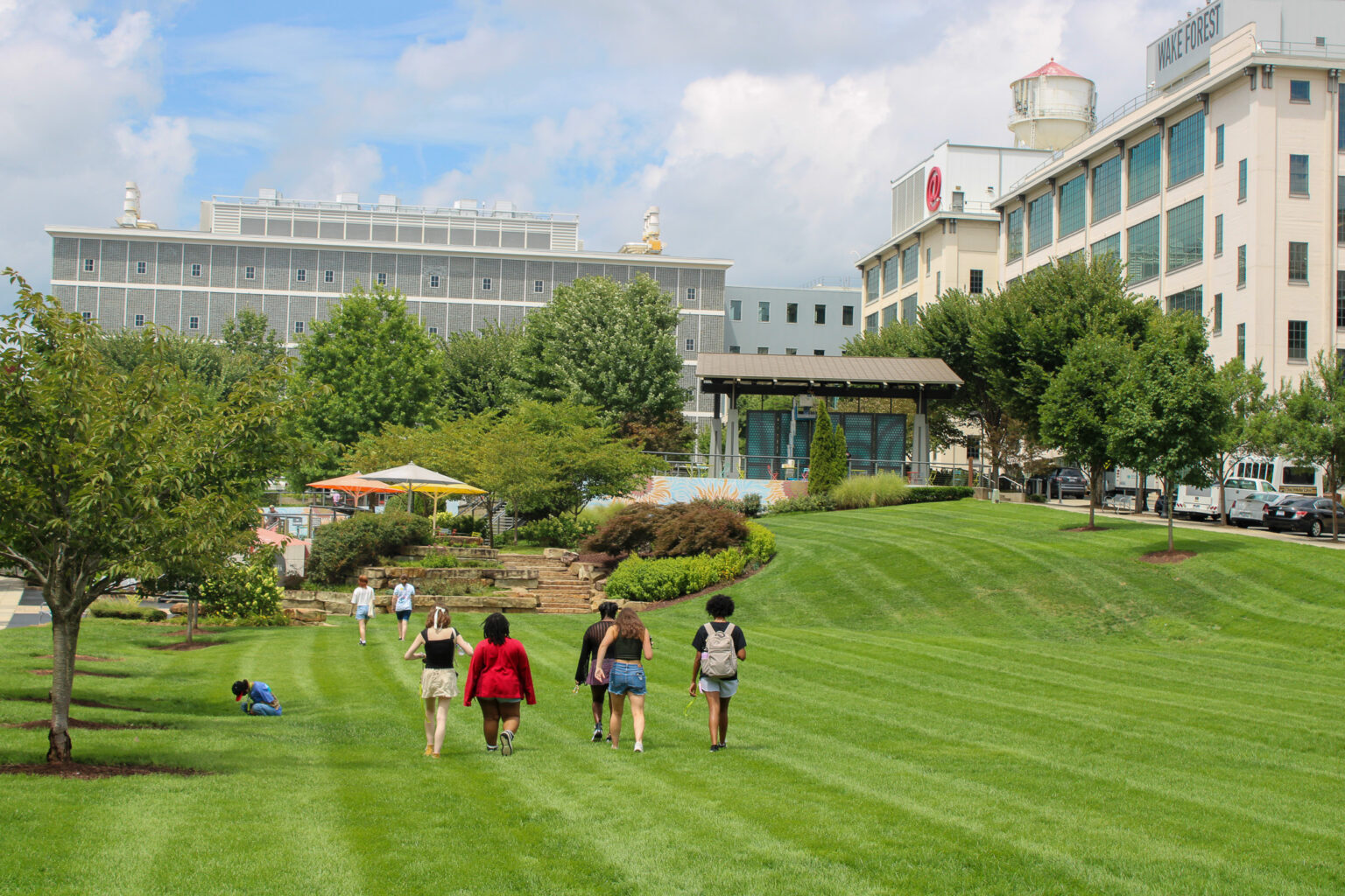Wake Forest Summer Immersion: Bioscience Institute фото 1