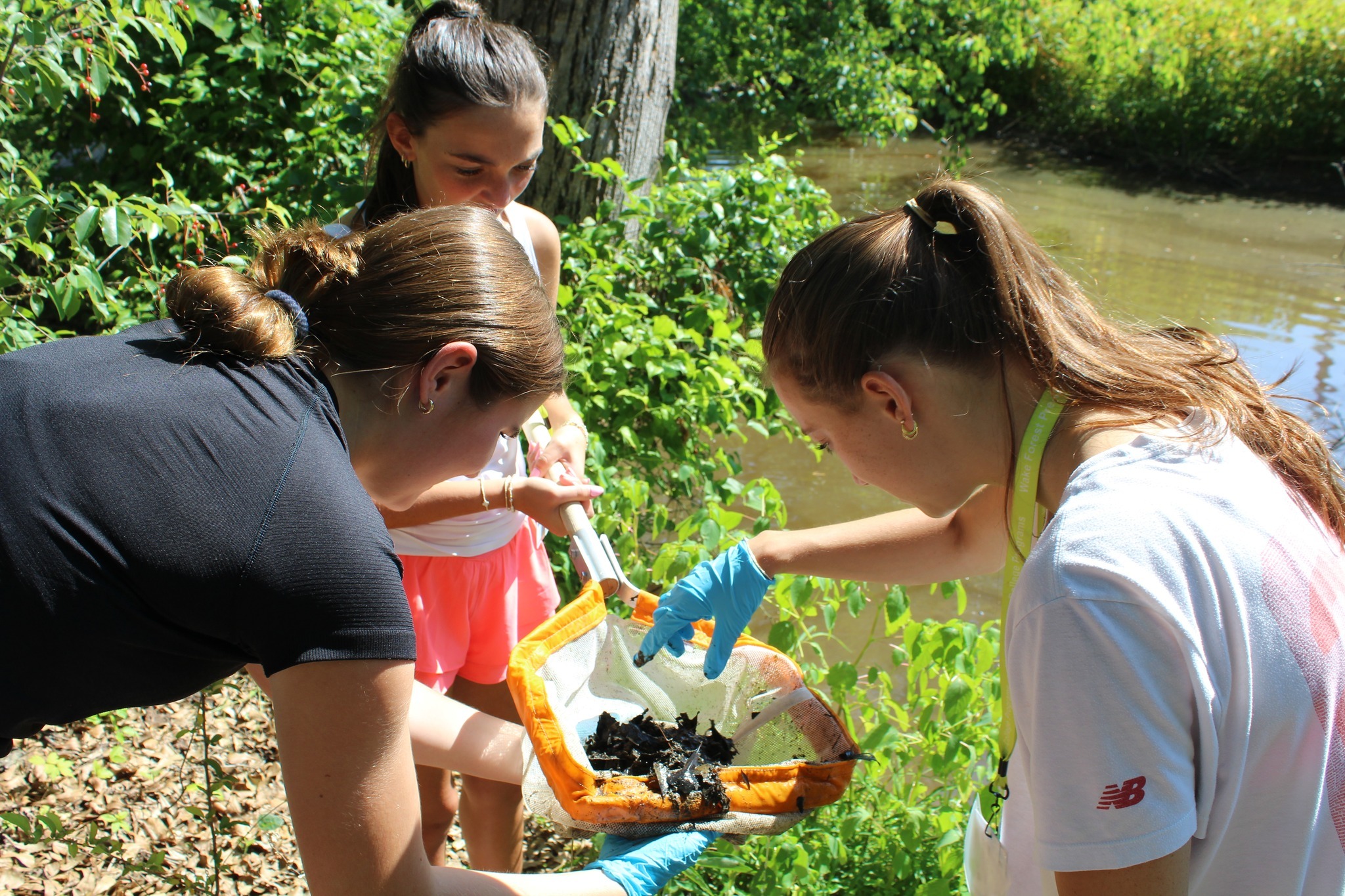 WFU Summer Immersion Program photo 1