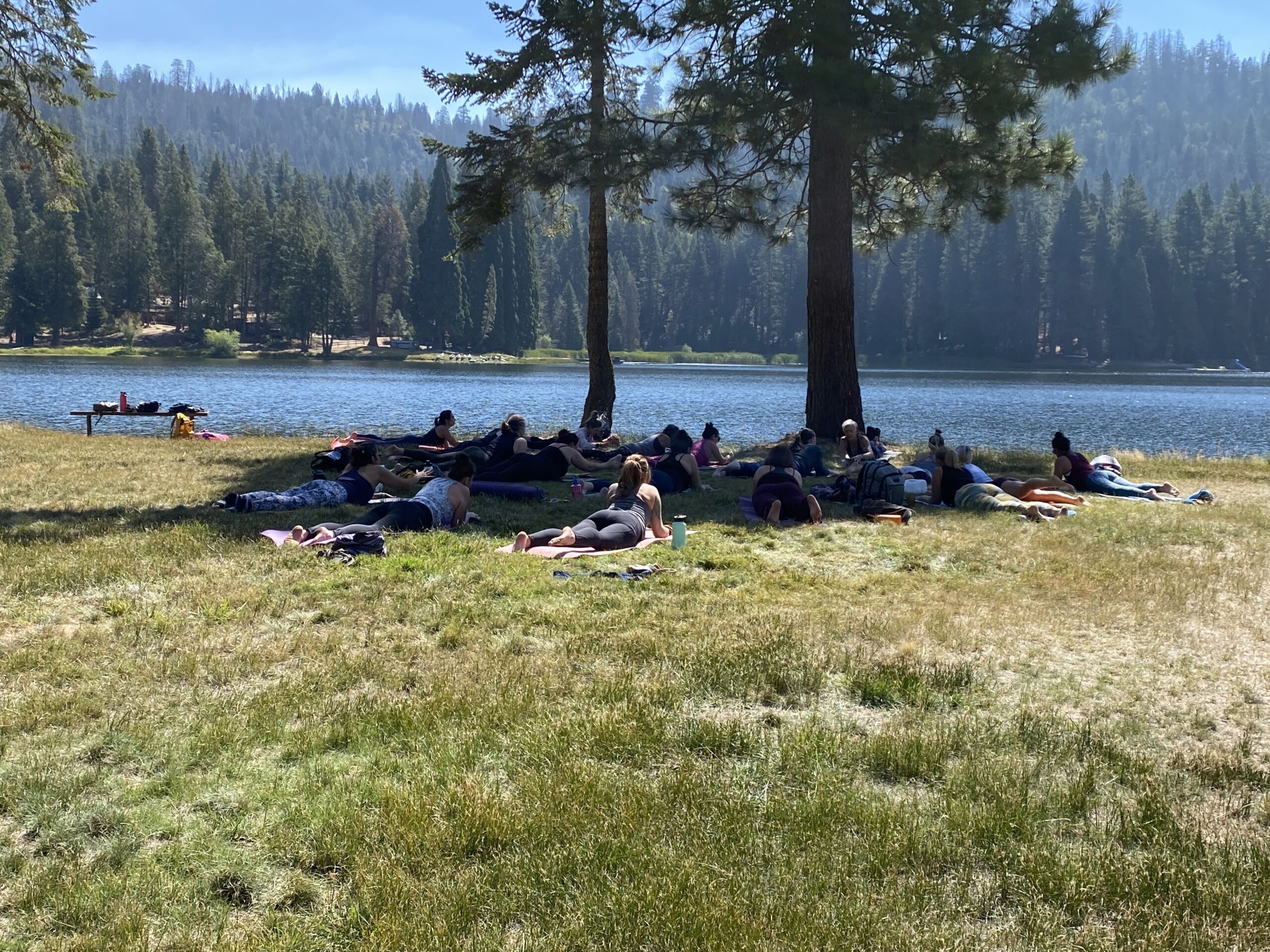 YMCA Camp Sequoia Lake photo 1