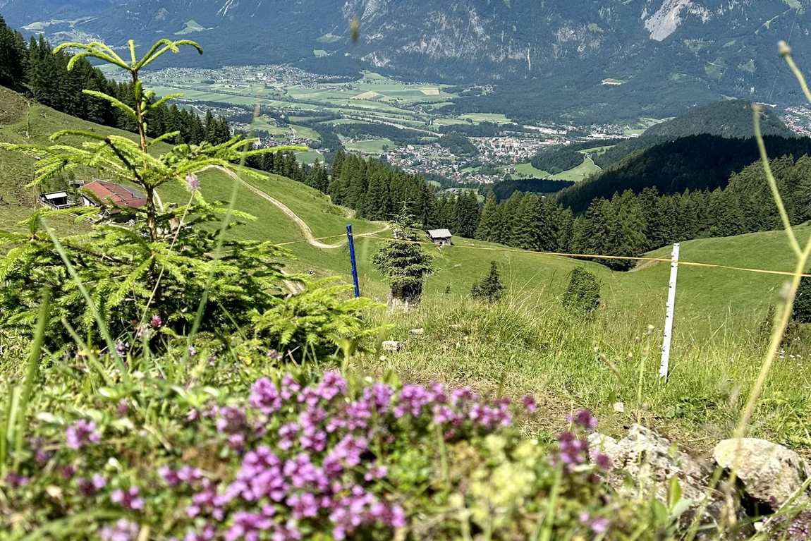 is alpbach worth a visit? uncovering the charm of austria’s picturesque village photo 6
