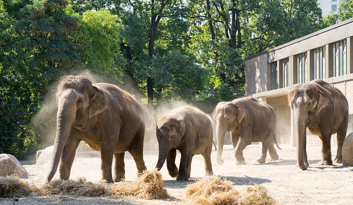 berlin in april: a celebration of spring photo 3