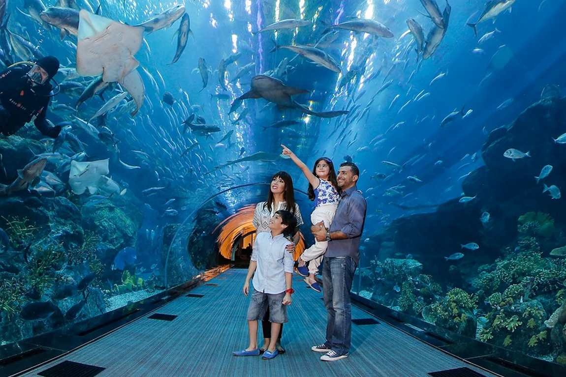 Best aquarium cheap in the world