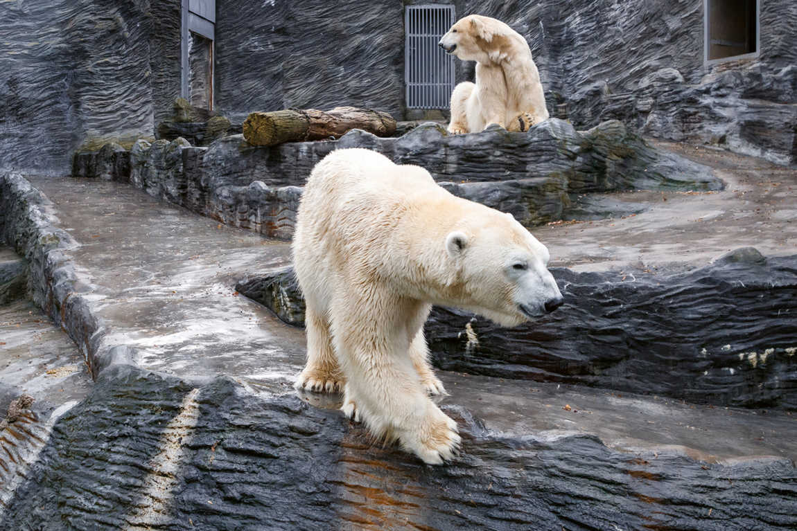 10 best zoos to visit with your kids in europe photo 4