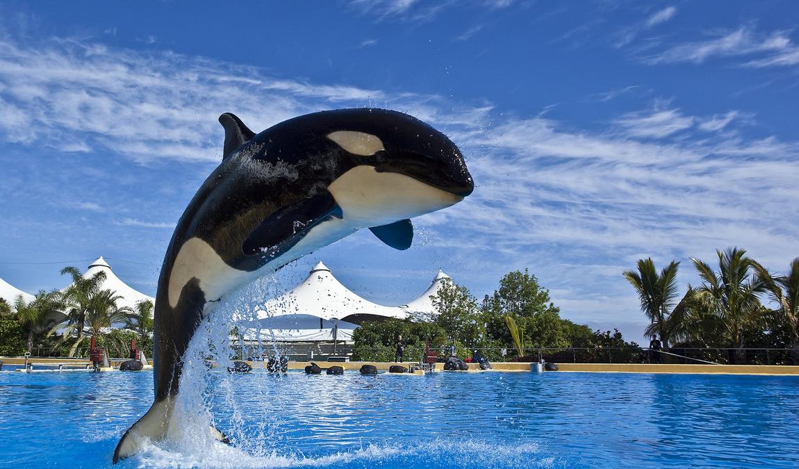 tenerife in may photo 3