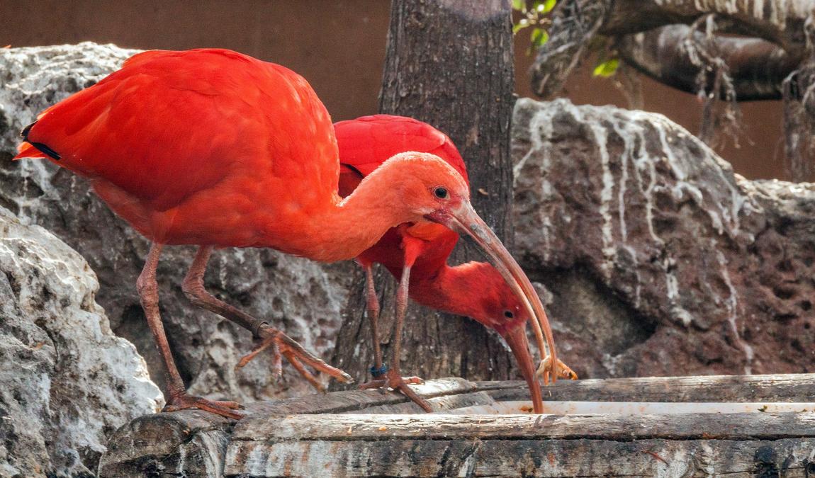valencia in october photo 6