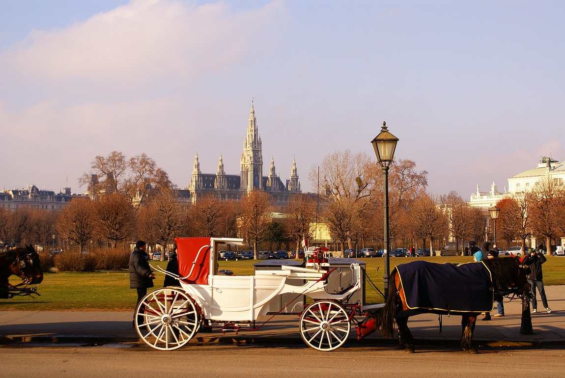 vienna in november photo 4