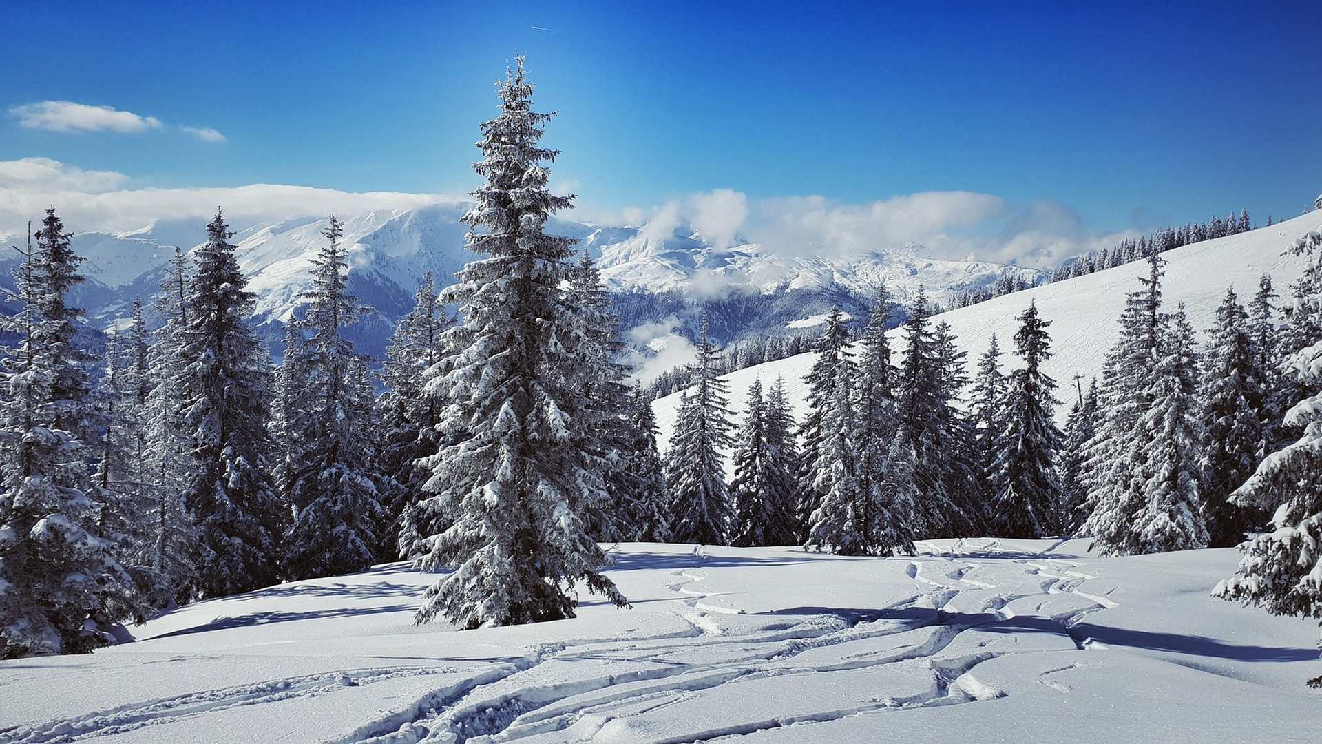 Is SkiWelt Worth a Visit? Unveiling Austria's Winter Paradise