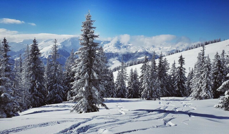Is SkiWelt Worth a Visit? Unveiling Austrias Winter Paradise