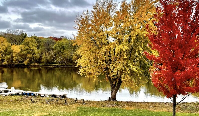 <span class=kid-textflex>Illinois</span>