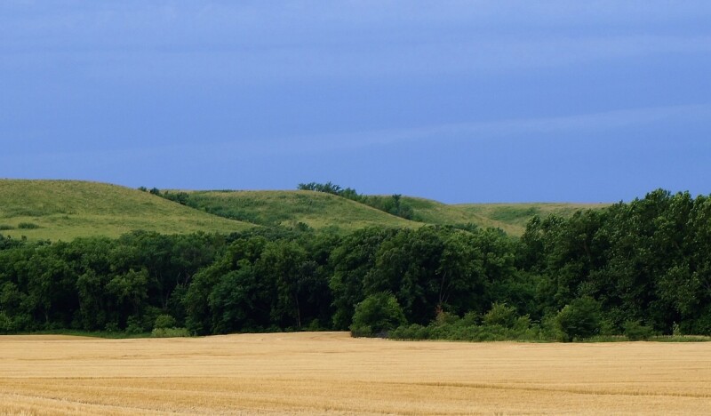 <span class=kid-textflex>Kansas</span>