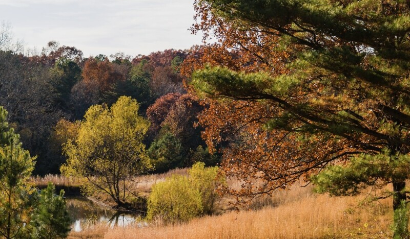 <span class=kid-textflex>Kentucky</span>