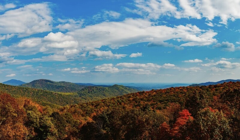 <span class=kid-textflex>Virginia</span>