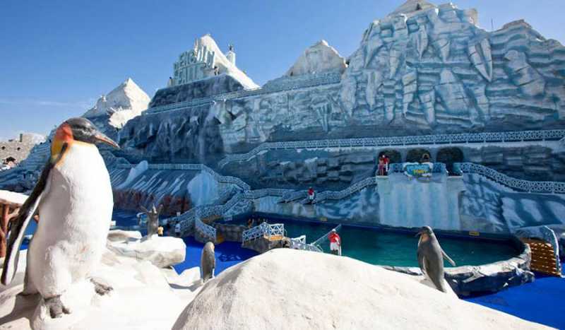 Аквапарк Ice Land Water Park (ЗАКРЫТ)