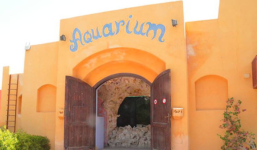 Аквариум Эль-Гуны (ЗАКРЫТ) фото 1