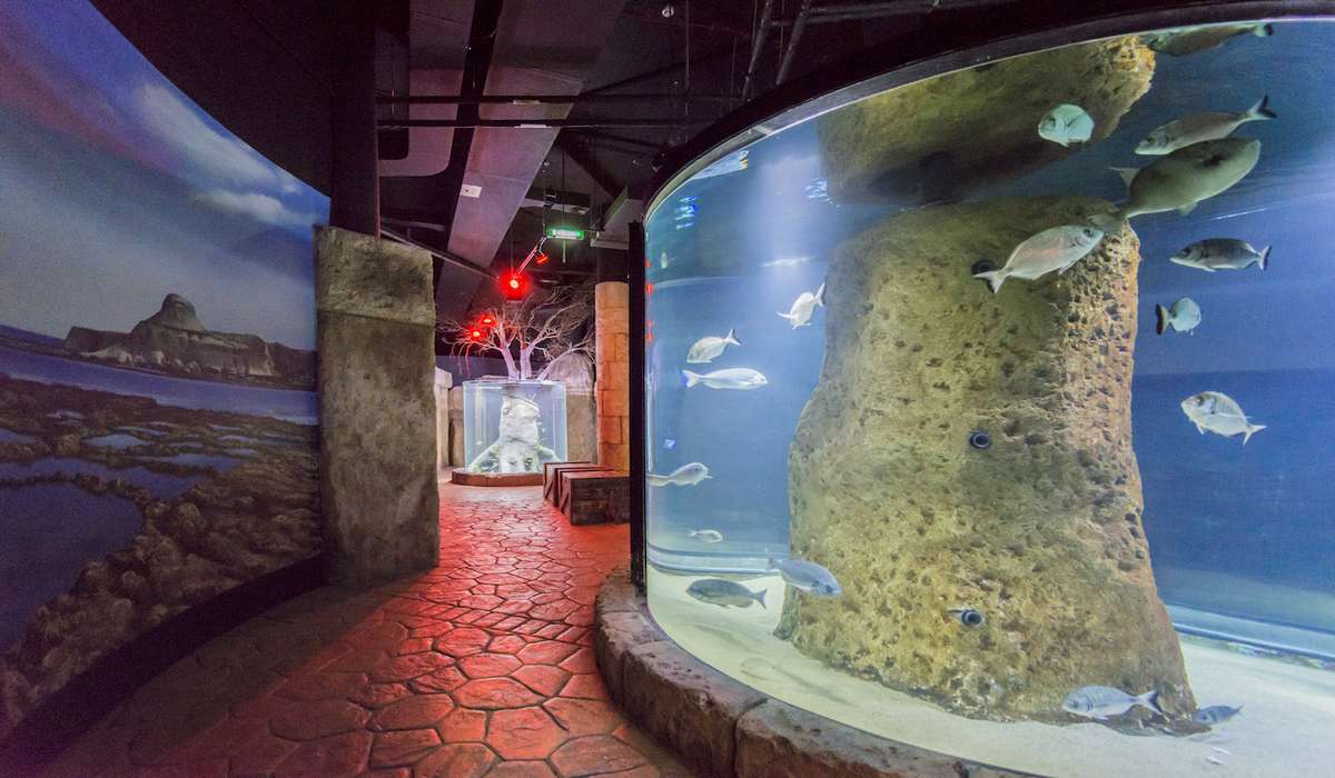 Аквариум Мальты фото 1