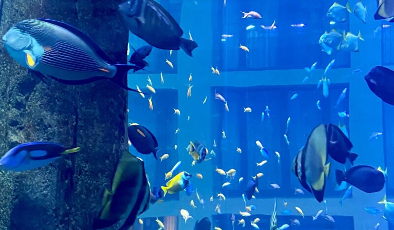 Sea Life Berlin