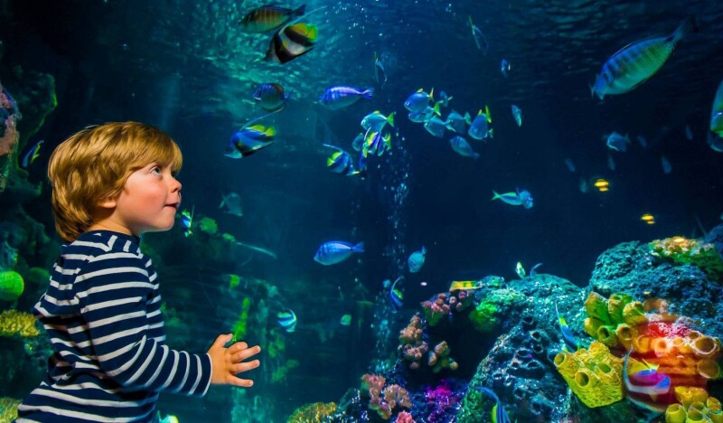 Аквариум Sea Life Oberhausen
