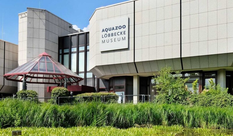 Aquazoo Löbbecke Museum