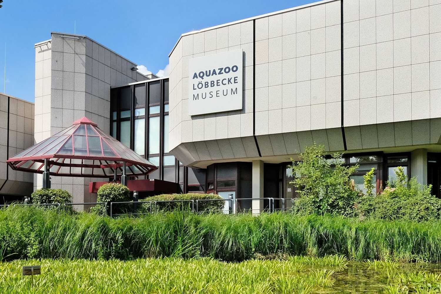 Аквариум Sea Life в Кёнигсвинтере (ЗАКРЫТ) фото 1