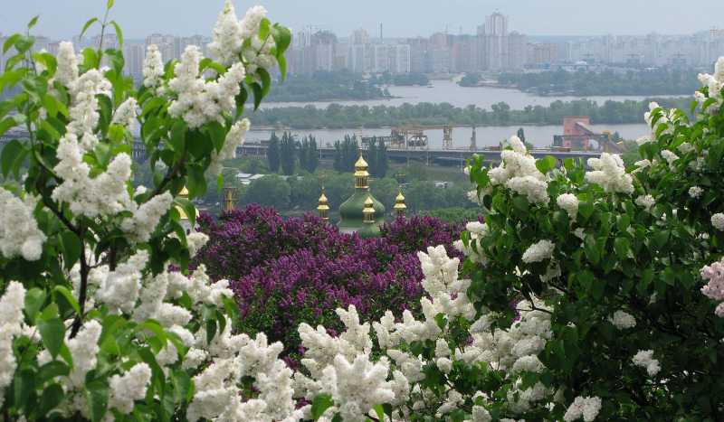 Ботанический Cад им. Н. Гришко