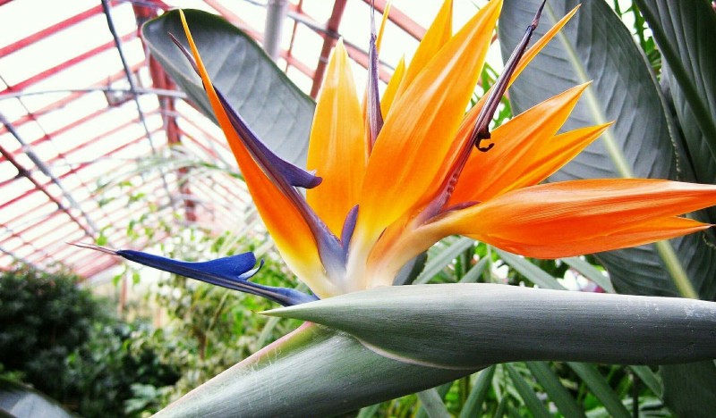 Ботанический Сад Екатеринбурга