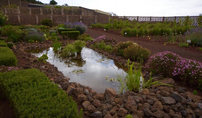 Ботанический Сад Тенерифе