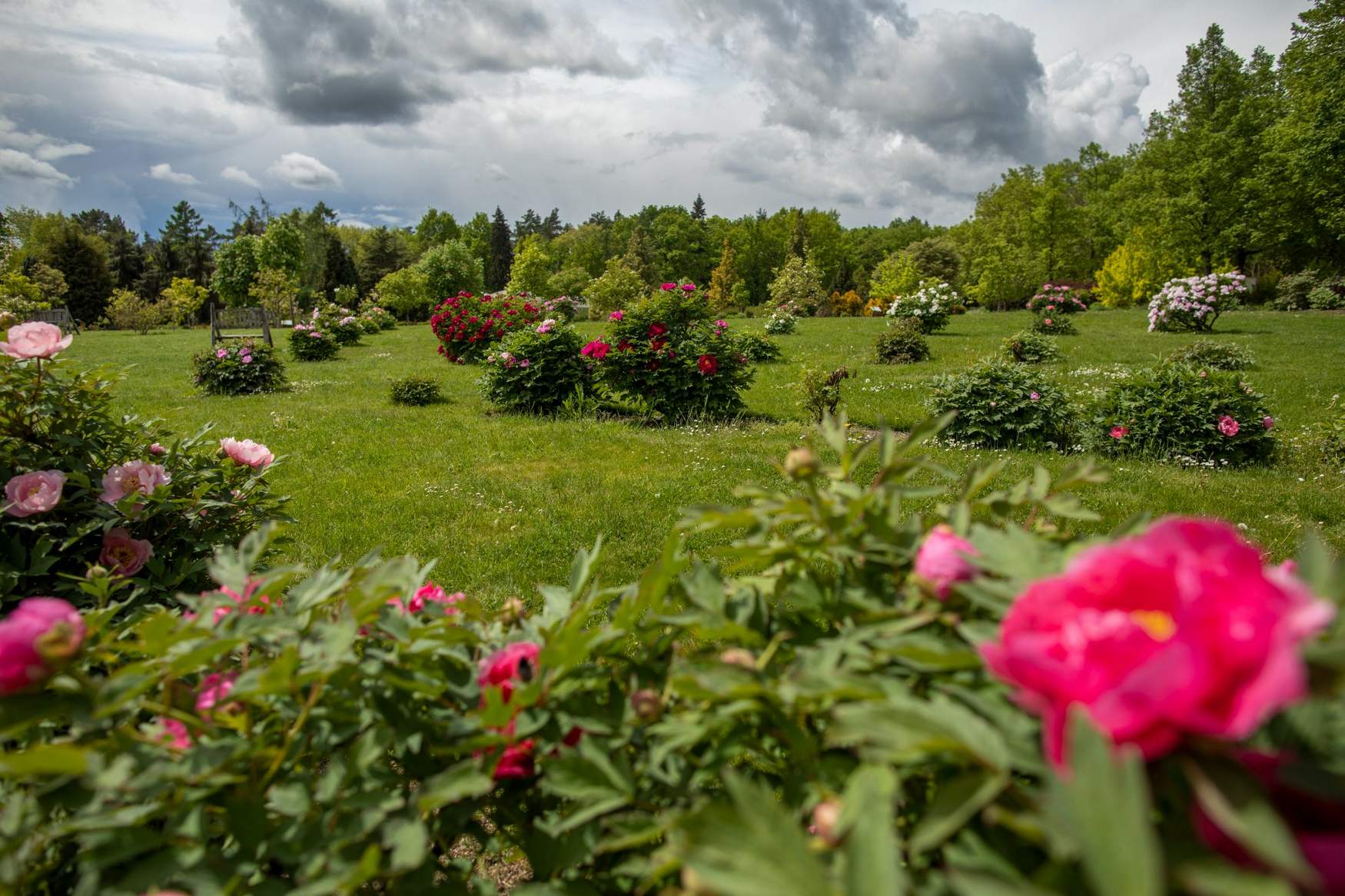 Ботанический Сад в Праге