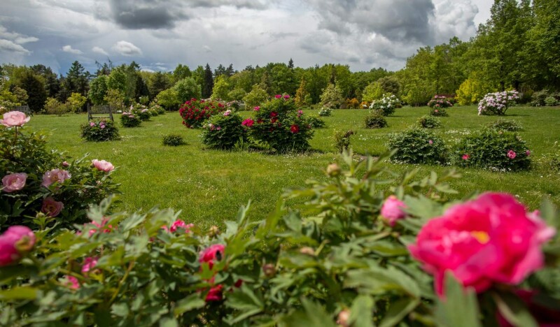 Ботанический Сад в Праге