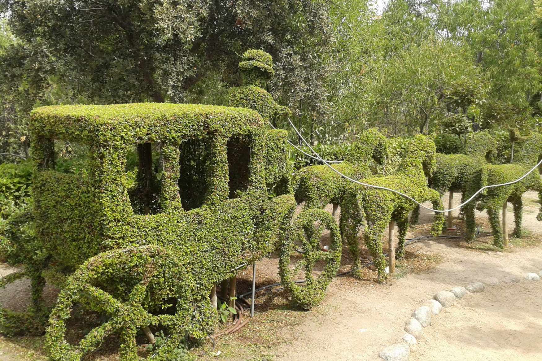 Ботанический Сад Зачарованный Лес фото 1