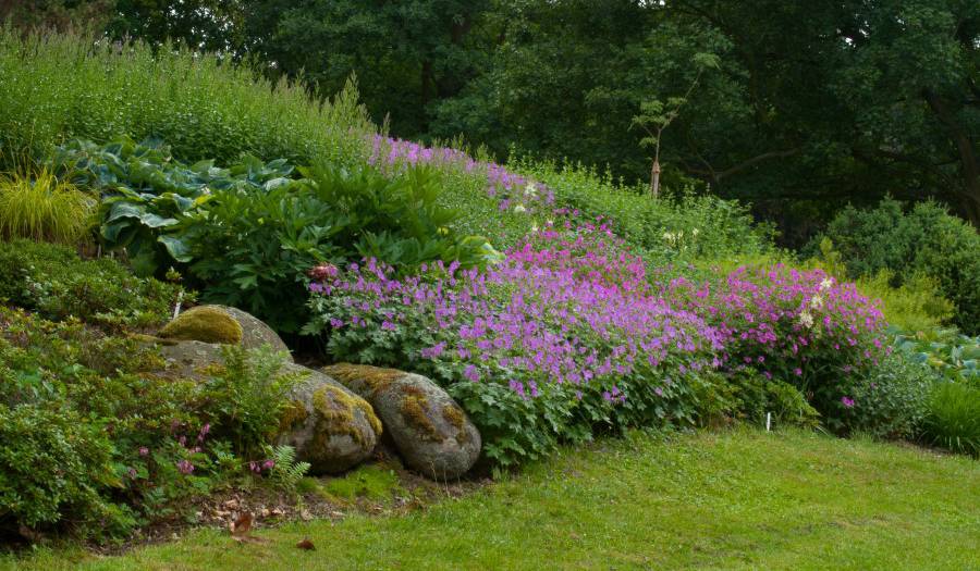 Дендропарк фото 1