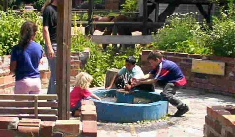 Детская Ферма Mauerplatz